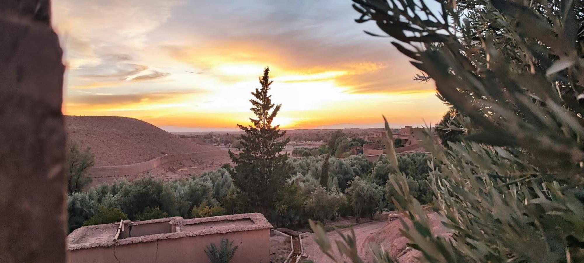 Kasbah Ait Benhadda Hotel Skoura Kültér fotó